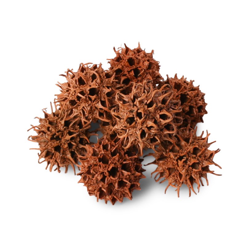 Picture of Dried Amberbaum Pods 250g Natural